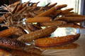 Episode_pic_for__47-09_small