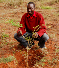 Treeplanting6_medium