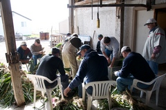 Caption: Basque men cleaning leeks for blood sausage, Credit: Guy Hand