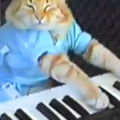 Caption: Keyboard Cat, Credit: Via YouTube.com