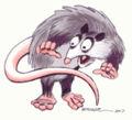 Possumweb_small