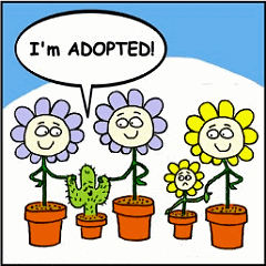 Caption: Open Adoption (Interview 4 Emily)