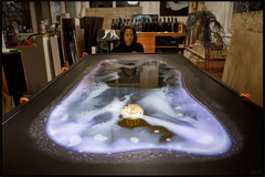 Caption: Artist Jesse Higman, Credit: Mike Regan