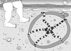 Caption: Illustration for "Britty the Starfish," published in the book UNCLE DUNKLE AND DONNIE, Credit: Joe Bevilacqua