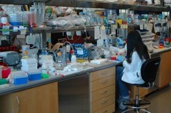 Caption: Scientists at the Janelia Farm Research Campus in Ashburn, Virginia perform cutting edge neuroscience research. A Janelia Farm exec says Northern Virginia's congested highways makes hiring and retaining employees difficult., Credit: Matt Staley/Janelia Farm