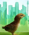 Urbanchicken_small