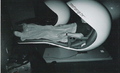 Metropod_small