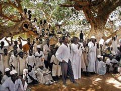 Caption: Displaced people from the Darfur region in Sudan gather under a tree in the West-Darfur Sisi Internal Displaced People camp, Credit: Associated Press