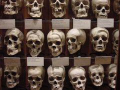Caption: Wall of Skulls, Credit: John Donges