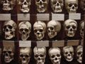 Skull-wall_small