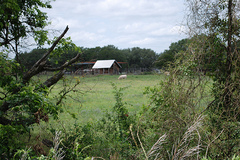 Piece image