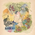 Sleepy_sun-_fever_small