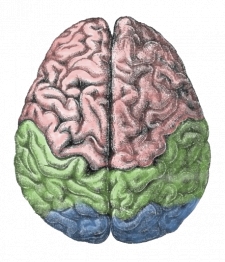 Piece image