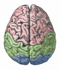 Piece image