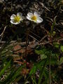 Img_3988sm_1__small