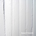 Beach_fossils-_lp_small