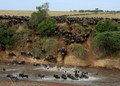 Migration_small