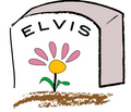 Elvis_copy_small