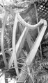 Harps_small