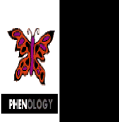 Piece image