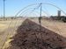 Worm_compost_prx_square