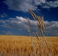 Climate_change_small