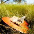 Guitaringrass_small