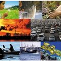 Environmentplaylist_small