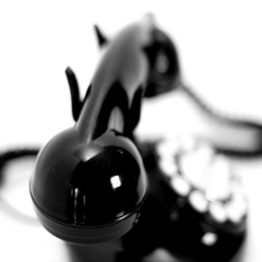  Credit: <a href="http://www.flickr.com/photos/92661859@N00/2455378401/">flickr_bitzcelt</a>