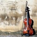 Violinwall_purbancik_small