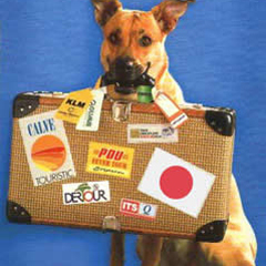 Caption: Traveling with Pets, Credit: OnTravel