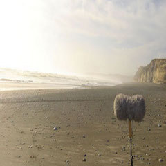field recording Caption: field recording