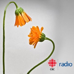 Caption: CBC Radio's Outfront, Credit: <a href="http://www.flickr.com/photos/91545223@N00/2743081060/">Benson Kua</a>