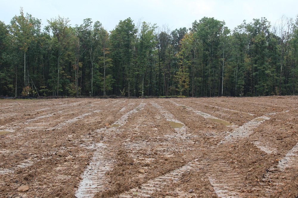 Caption: Making way for the Marcellus, Credit: Reid R. Frazier/Allegheny Front
