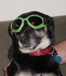 User image