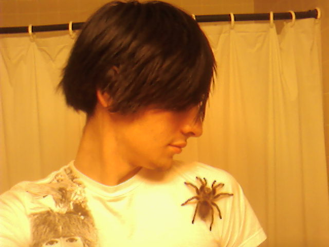 User image