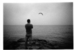 Jaybirdsmall_square