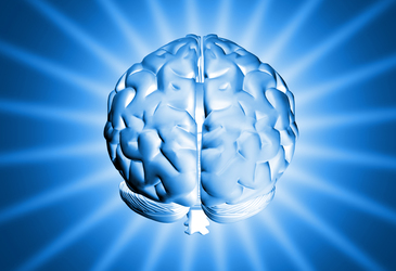 AusBiotech secures Australian first with world brain mapping congress