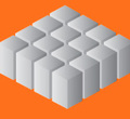Ico-prolap-large