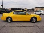 Yellowmonte