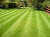 Lawn_care