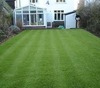 Lawn