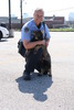 Ivan_with_k-9_officer_wilke
