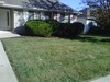 Img00124-20101014-1540
