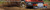 4wpp_banner