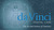 Davinci5