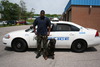 K9_3_005