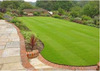 Green_lawn_165192844_std