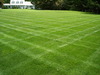 Lawn