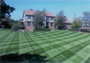 Lawn-cris-cross-pattern